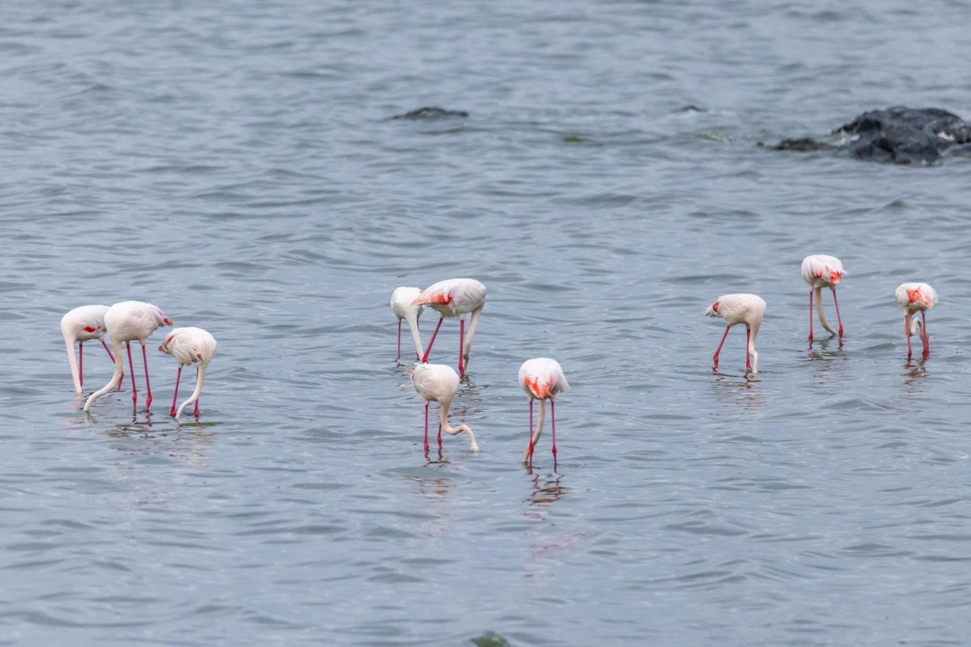 Sentrim Elementaita Lodge Elmenteita Luaran gambar