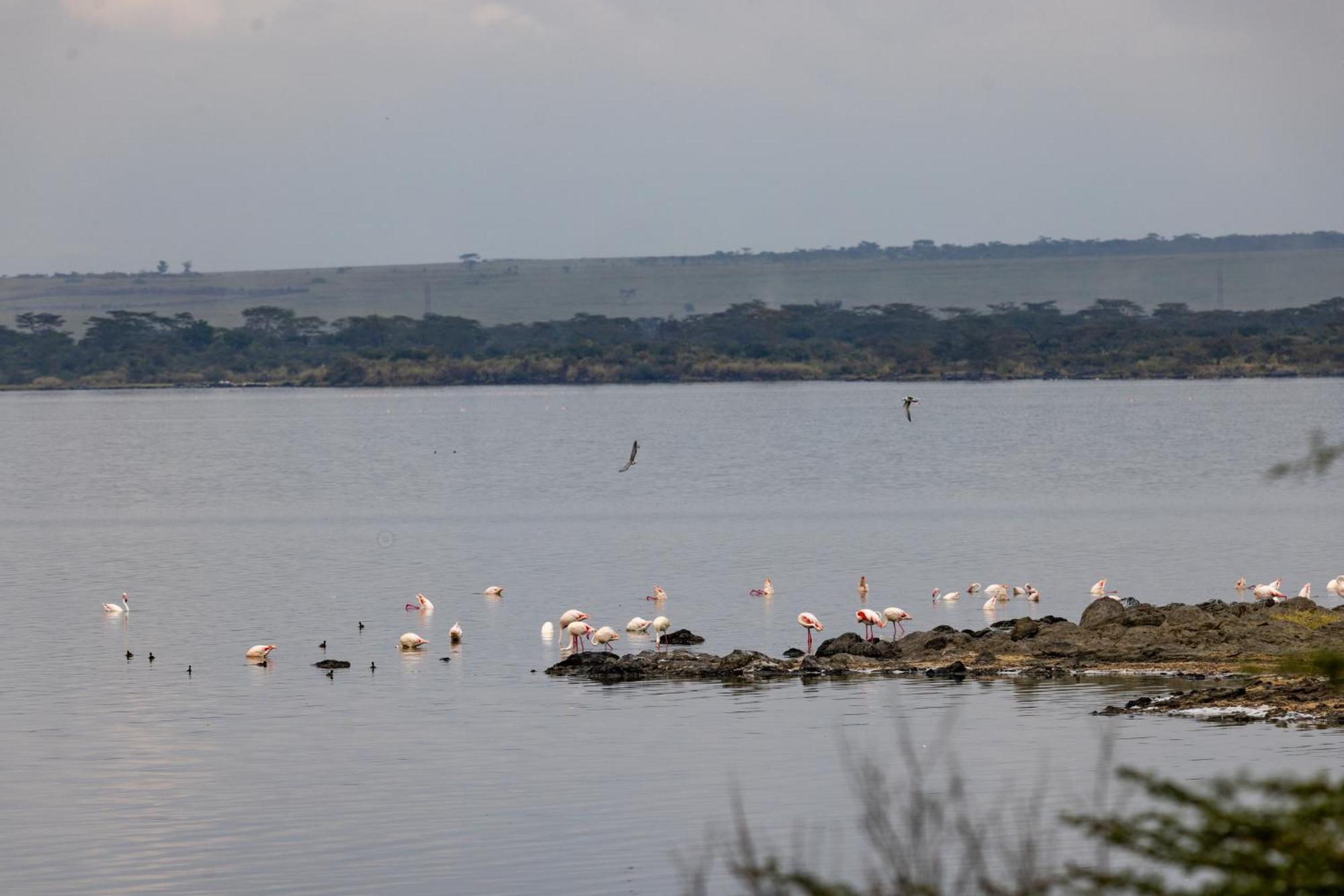 Sentrim Elementaita Lodge Elmenteita Luaran gambar