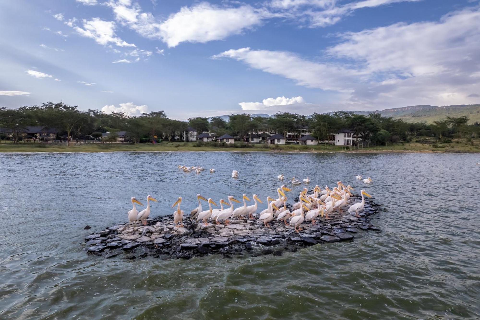 Sentrim Elementaita Lodge Elmenteita Luaran gambar